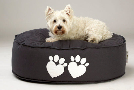 8 Benefits of a Waterproof Dog Bed - Bean Bags R Us