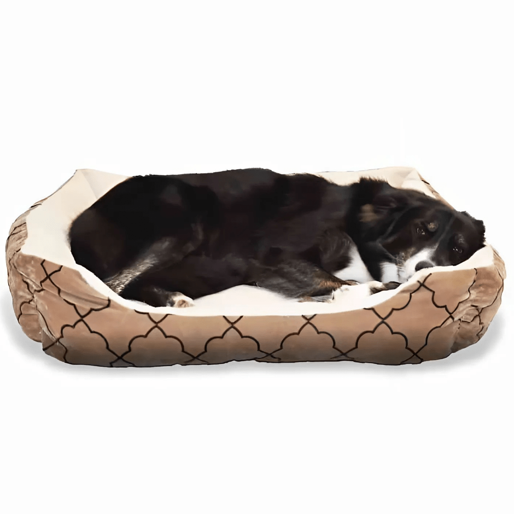 Soothing the Achy Joints of the Golden Years: The Benefits of a Dog Bed for Senior Pets - Bean Bags R Us