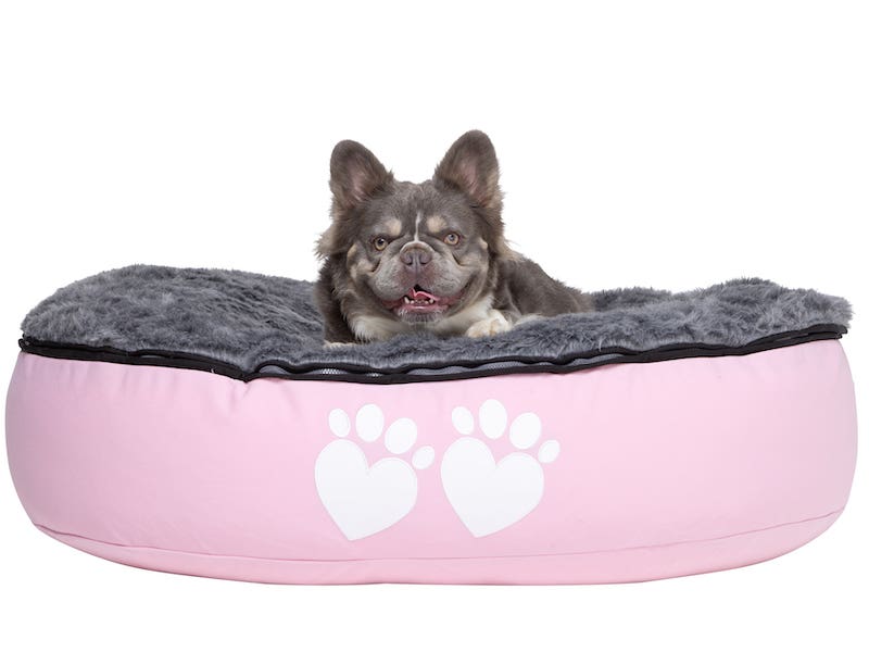 Dog friendly bean bag shops